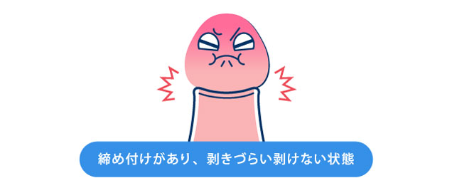 �J���g����s