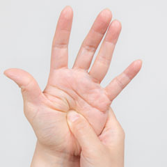 ��̕��̑�����