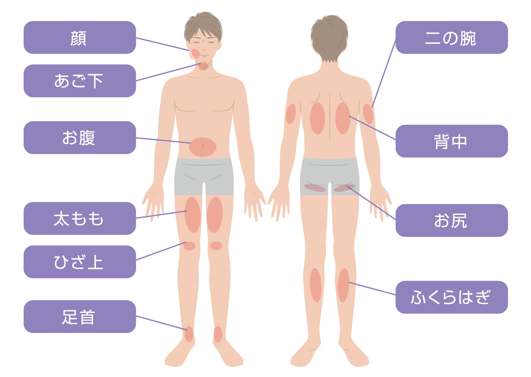 脂肪溶解注射の対応部位