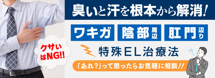 �j���̂킫�����Ái�d�C�ÌŖ@�j