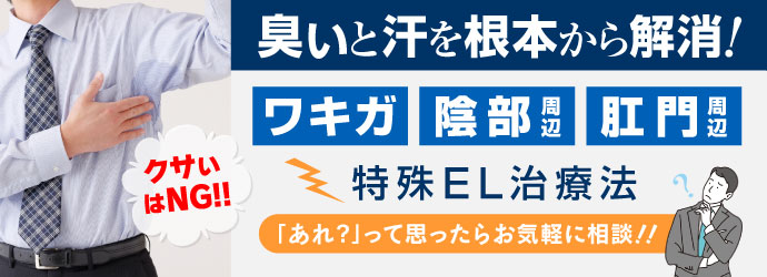 �j���̂킫�����Ái�d�C�ÌŖ@�j