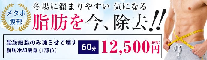 脂肪冷却痩身 1部位60分 12,500円(税抜き)