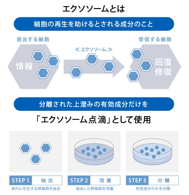 ZxGN\\[_HȂVh䉑YNjbN