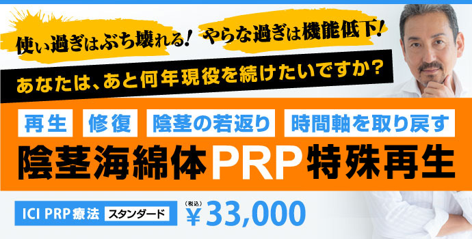  ICI PRP�i�����������j�Ö@