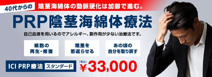  ICI PRP�i�����������j�Ö@