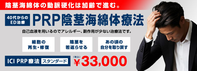  ICI PRP�i�����������j�Ö@