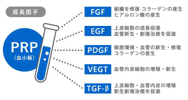 自己血液を使ったED治療 「ICI PRP(多血小板血漿)療法」は新宿御苑メンズクリニックへ