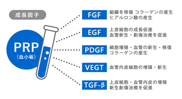 自己血液を使ったED治療 「ICI PRP（多血小板血漿）療法」は新宿御苑メンズクリニックへ
