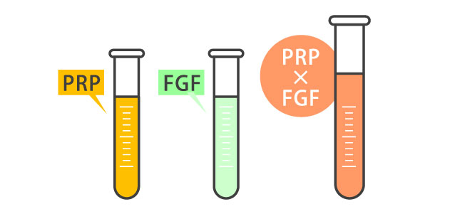 FGF（細胞増殖因子）とは？