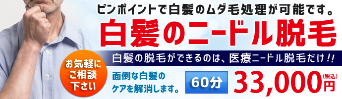 白髪 ニードル脱毛