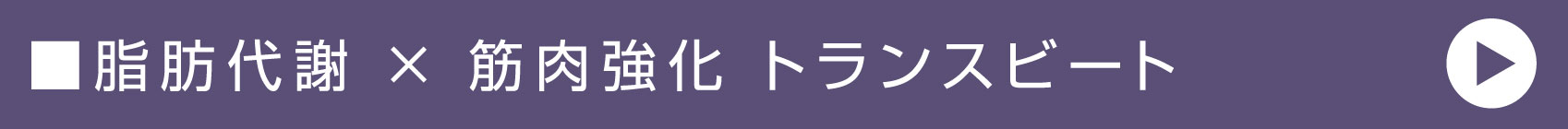 脂肪代謝 × 筋肉強化 トランスビート